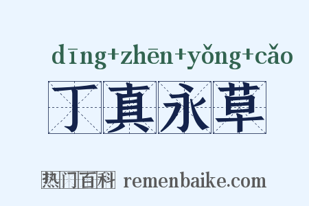 丁真永草是什么意思的图片